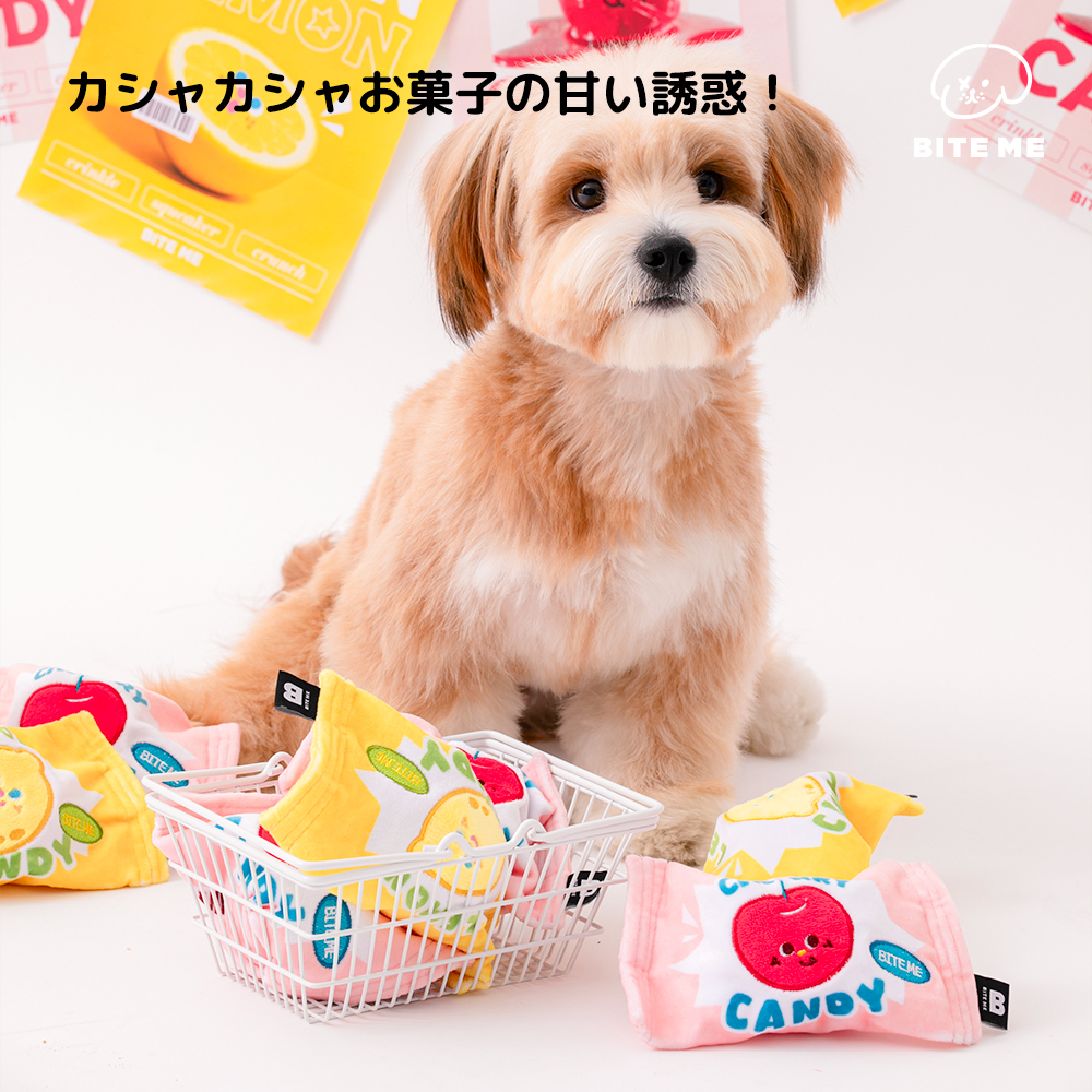 クランチキャンディボール | ペット用の食品・用品・衣類